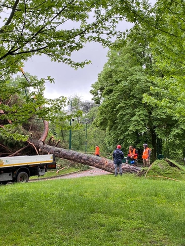Maltempo a Bologna, alberi caduti ai Giardini Margherita e una scuola allagata