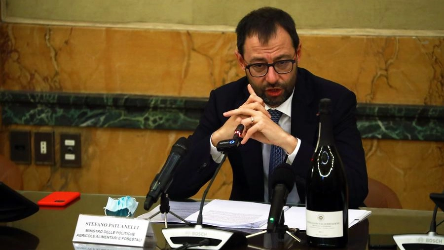 Il ministro Stefano Patuanelli con una bottiglia di Prosecco alla conferenza stampa