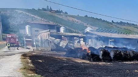 Incendio a Bologna: capannone distrutto in Valsamoggia