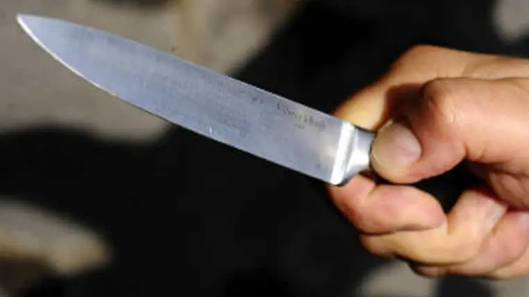 Un coltello da cucina (foto d'archivio)
