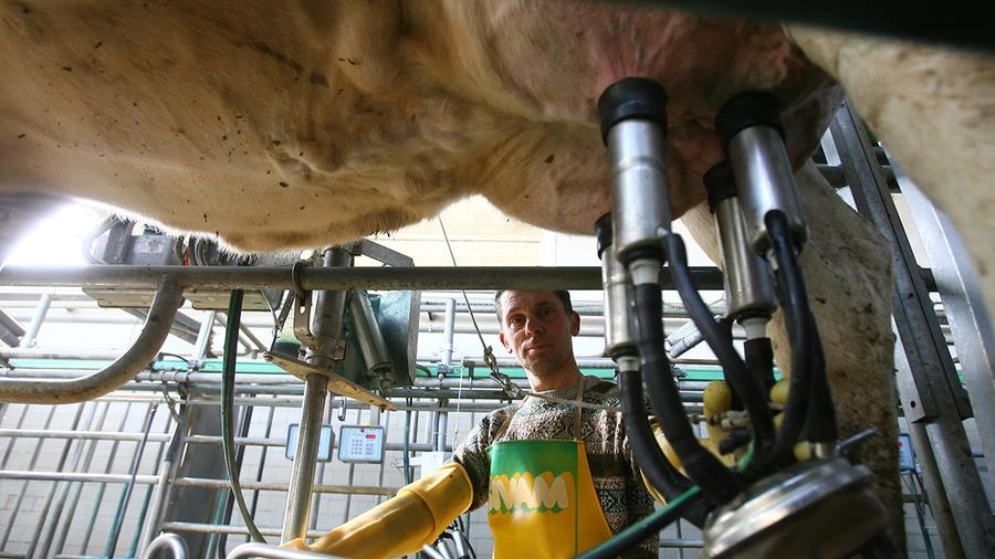 Biometano distributori: dove fare il pieno in Emilia Romagna e prezzo