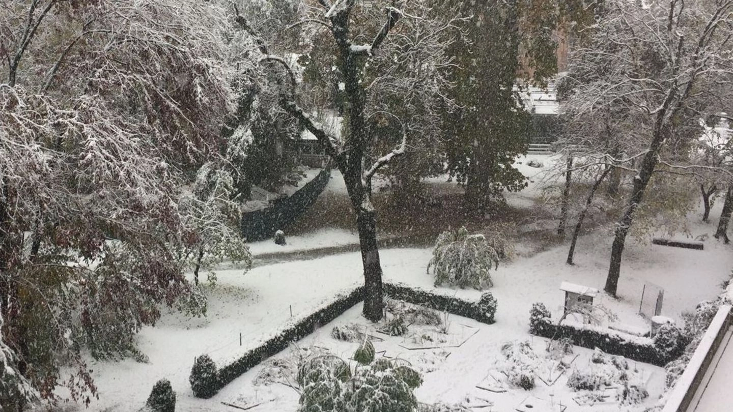 Bologna, la neve del 13 novembre 