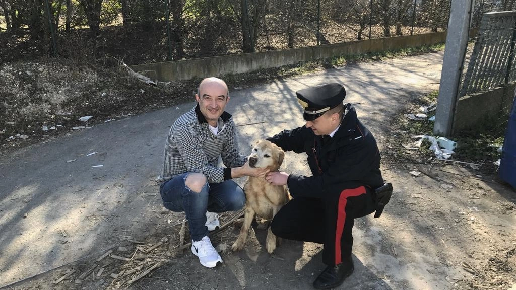 Il cane Tommy con il carabiniere che l’ha salvato e padrone 