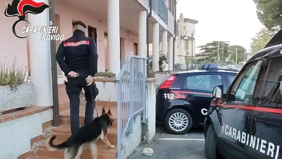 I carabinieri durante la perquisizione nella casa del 26enne arrestato