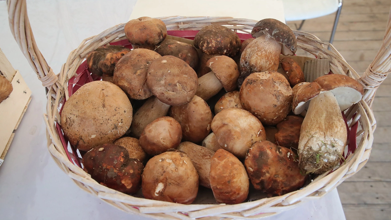 I funghi porcini, delizia dell'autunno, protagonisti della Festa di Pievepelago