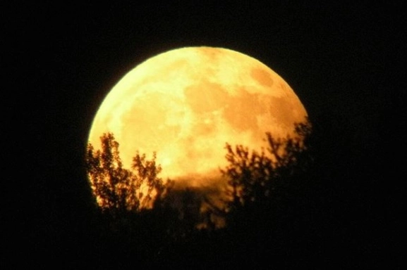 Parco San Bartolo (Pesaro): “Eclissi di Luna & trekking con l’astronoma”