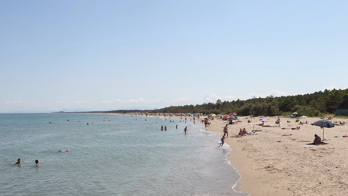 Una foto generica di spiaggia libera del Ravennate (foto Zani)