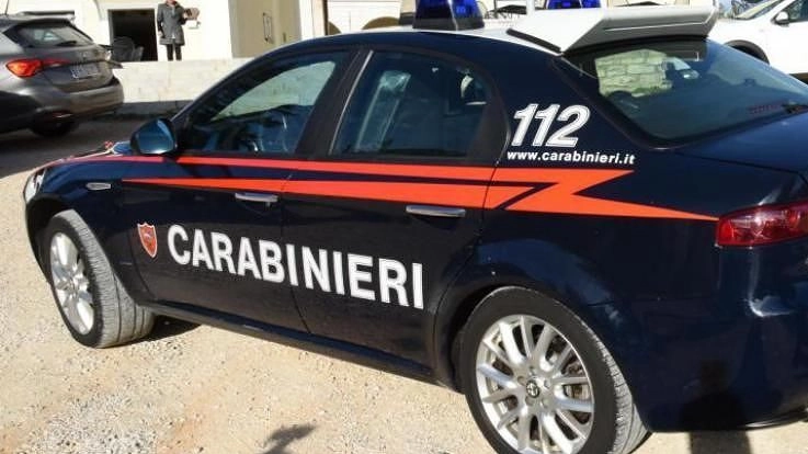Sull'episodio di violenza stanno indagando i carabinieri