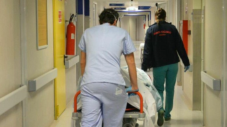 Ospedale, emergenza medici  Ma  500 infermieri e operatori  rischiano di scadere e sparire