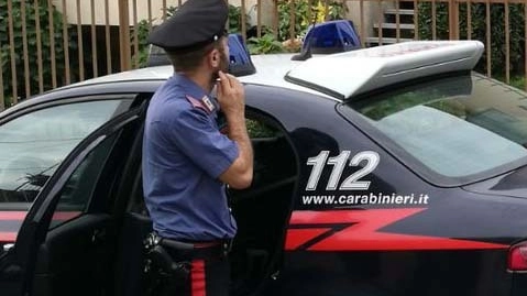 I carabinieri di Correggio hanno arrestato il 44enne 