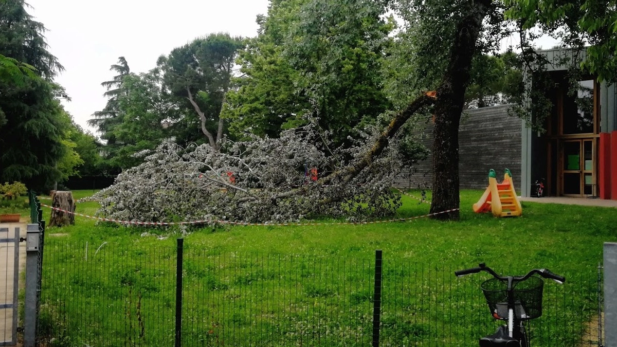 Il grosso ramo caduto nel giardino delle Gasparetto