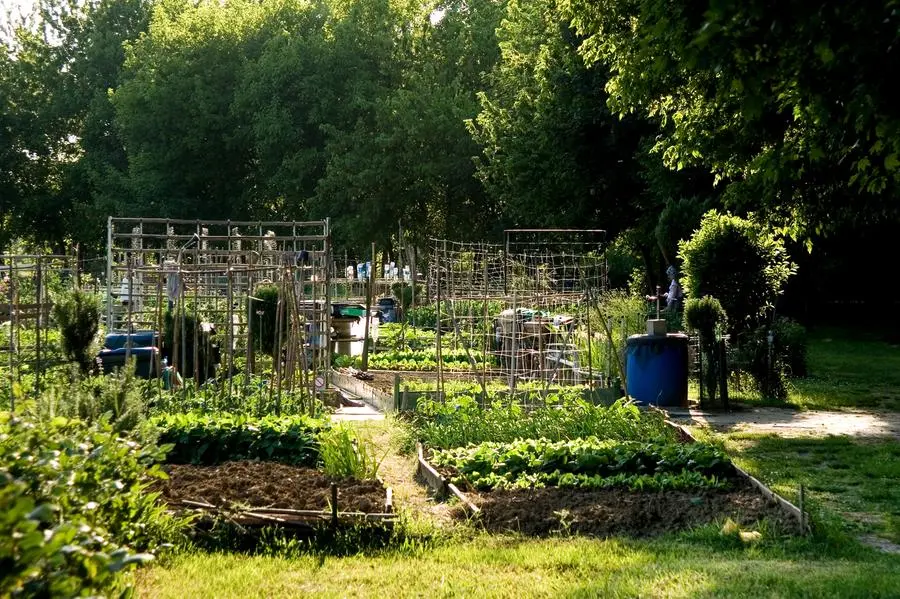 Photo of Bologna’s Urban Gardens, the city’s little green lungs are on display