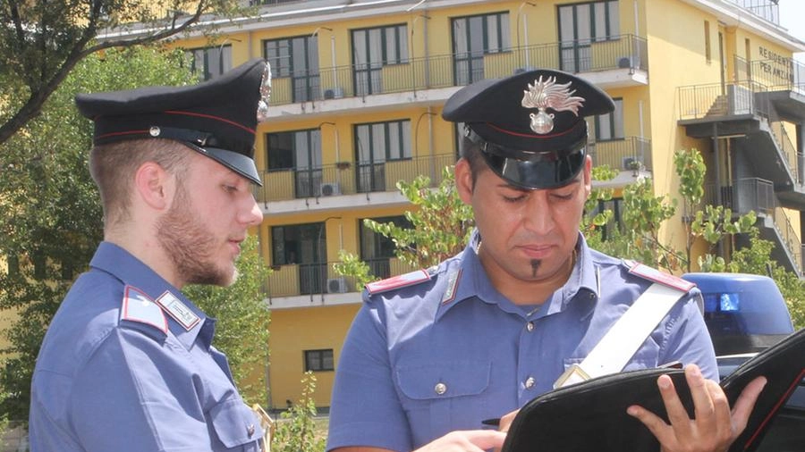 Sul posto i carabinieri di Medicina (foto d'archivio)