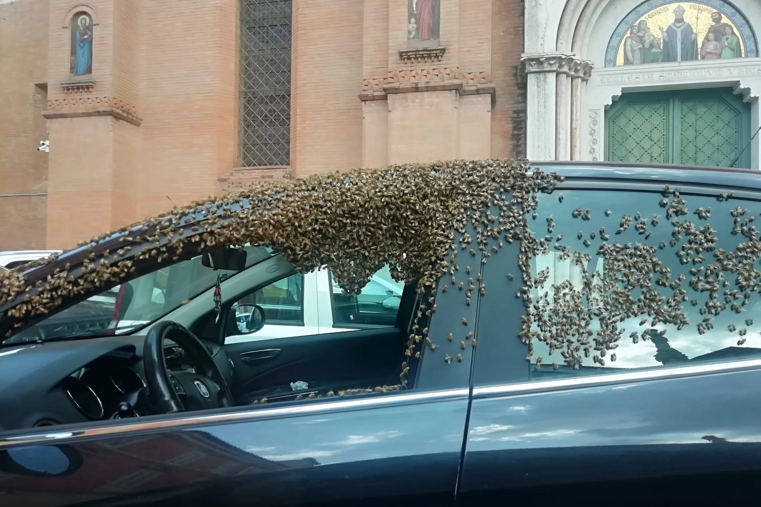 Le api in migrazione si sono fermate a riposarsi su un'auto posteggiata in piazza San Martino