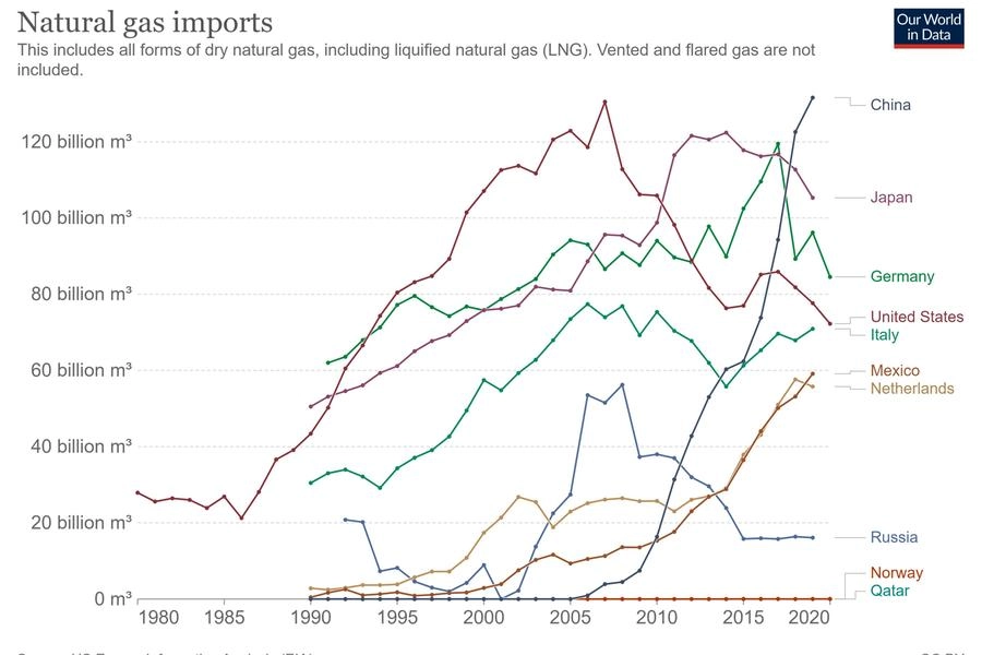 L'Italia è tra i maggiori importatori al mondo (fonte: OurWorldinData)