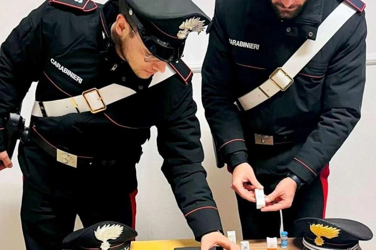 La droga, i farmaci e soldi scoperti dai carabinieri di Comacchio e del Nas di Bologna