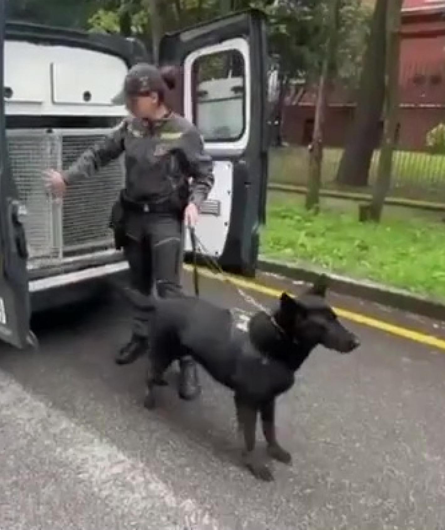 controlli con i cani antidroga sorpreso con lo spray urticante da Ilrestodelcarlino.it controlli con i cani antidroga sorpreso con lo spray urticante
