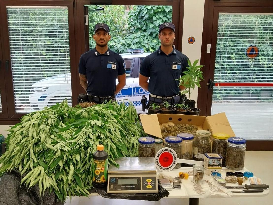 Gestiva un campo di marijuana, arrestato Gestiva un campo di marijuana, arrestato