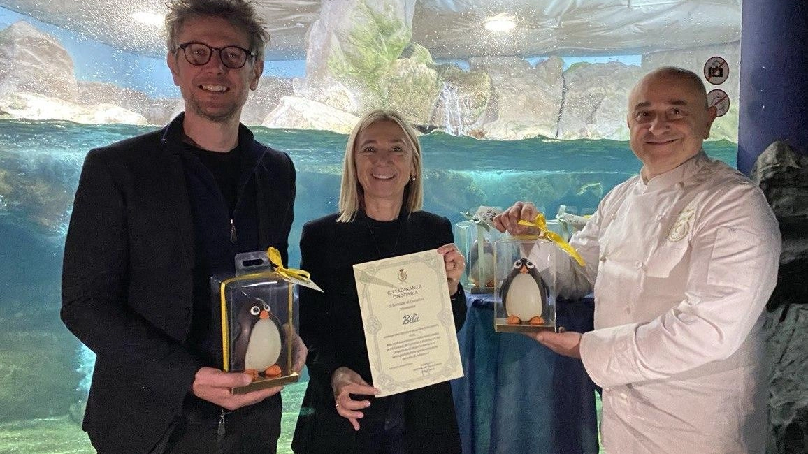 Il pinguino Bilù diventa cittadino onorario