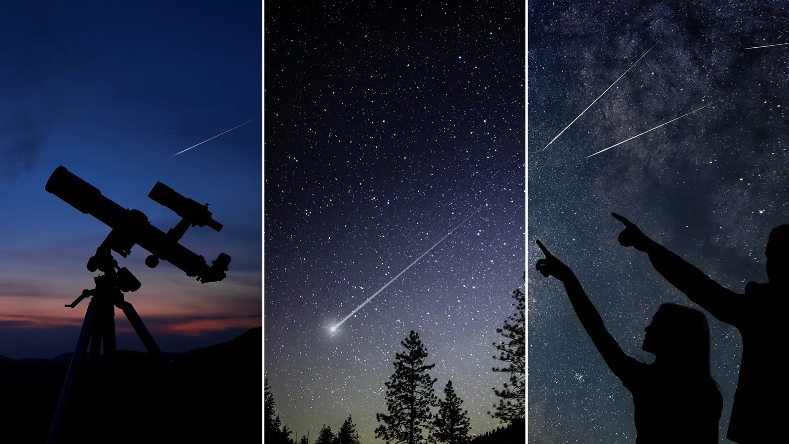 dove vedere le stelle cadenti a bologna e dintorni tutti gli eventi 2025