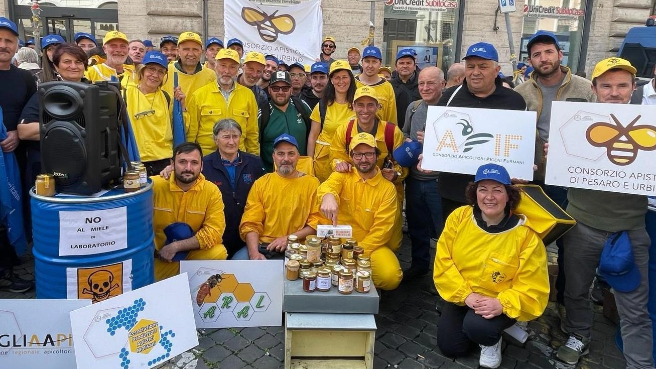 In piazza per le api: "No al miele extra Ue"