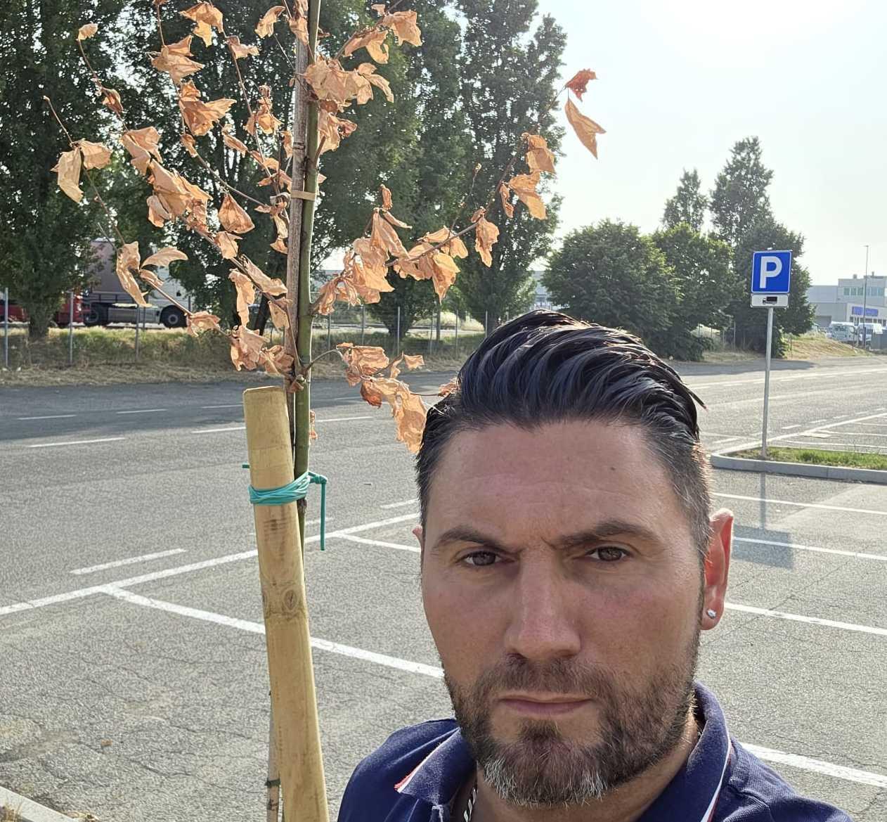 Poggio, gli alberi della discordia. Brogi: "Appena piantati e già morti". Il Comune: "Zona in fase di cantiere" Poggio, gli alberi della discordia. Brogi: "Appena piantati e già morti". Il Comune: "Zona in fase di cantiere"