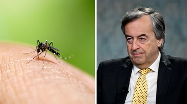 Dengue, Burioni: “Grave un caso su 20, subito lotta alla zanzara tigre”