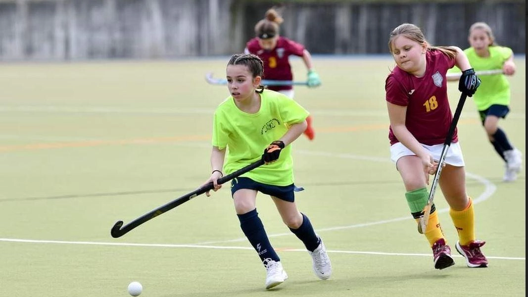 Domenica di successi per l'hockey giovanile a Bondeno: trionfano le squadre Under12 e Under10 locali. Le ragazze dell'Under8 si classificano seconde. Nel Campionato Nazionale Under16 femminile, l'HC Bondeno perde 3-1 contro il Cus Padova.