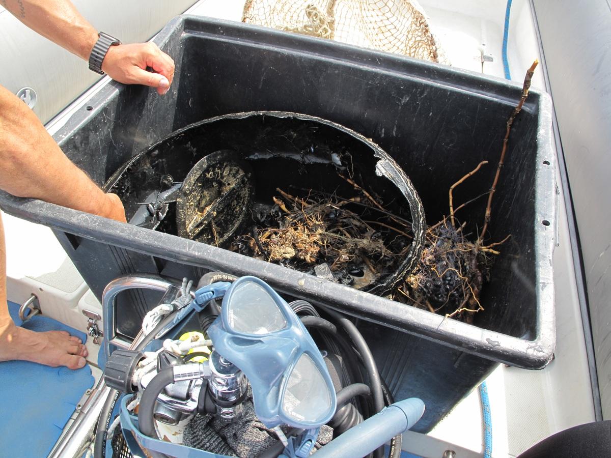 Ferraglie, plastica e pneumatici adagiati sul fondale del Conero Ferraglie, plastica e pneumatici adagiati sul fondale del Conero