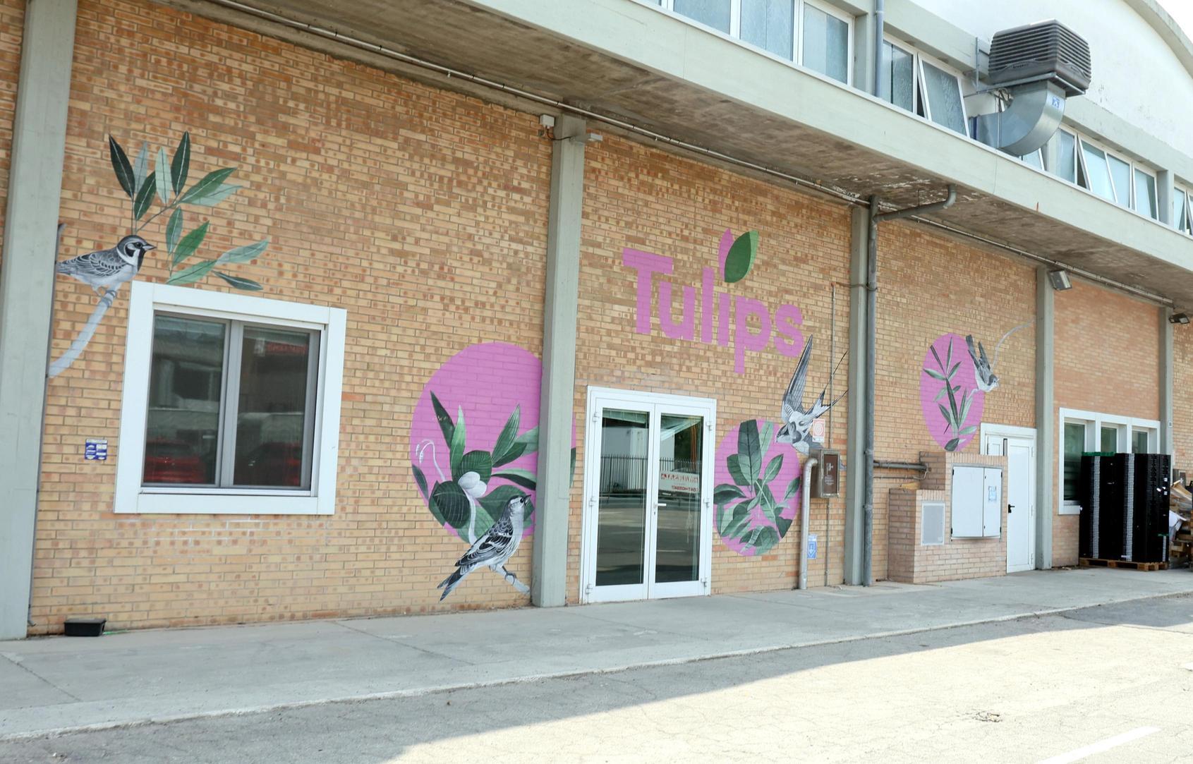 ‘Tulips’ in liquidazione. Dipendenti ridotti da 80 a 20 ‘Tulips’ in liquidazione. Dipendenti ridotti da 80 a 20
