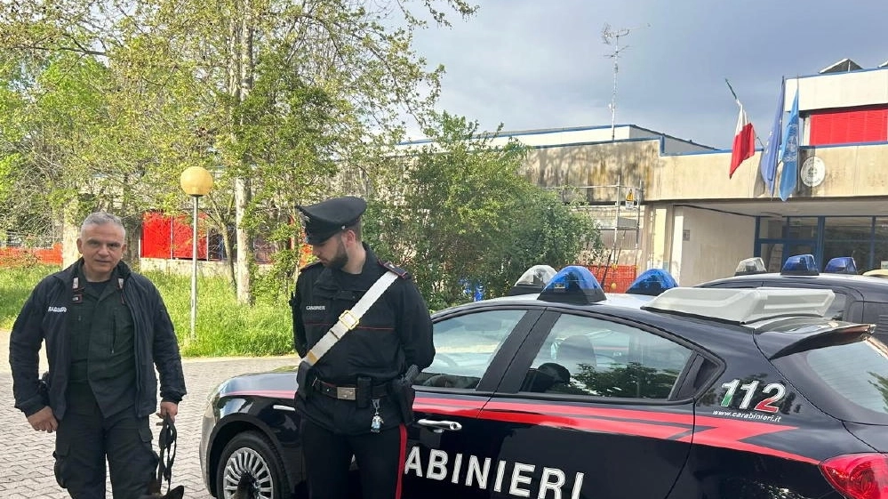 Iniziativa dimostrativa e di controllo eseguita dai carabinieri con l'unità cinofila