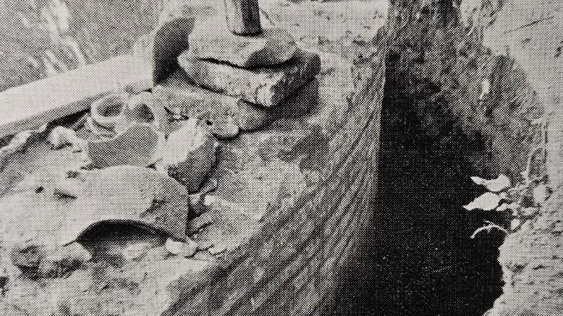 I primi scavi a Classe, nell’estate del 1956