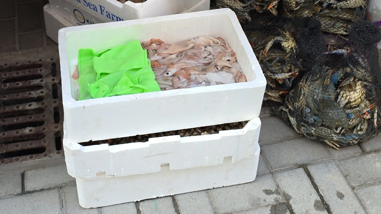 Vignola, la Finanza sequestra 120 chili di prodotti ittici