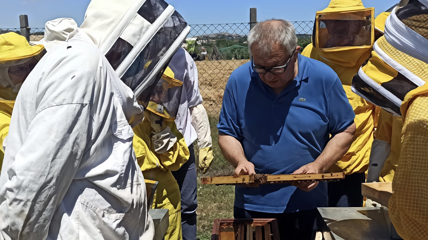 La lotta degli apicoltori: "Il nostro miele va difeso"