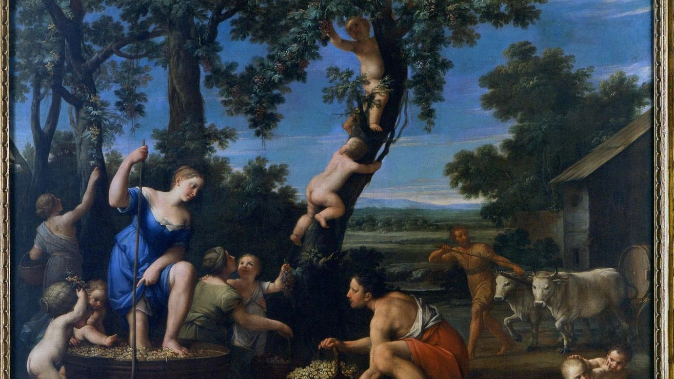 In Pinacoteca riaprono le sale del Sei e Settecento. Incontri ravvicinati con Carracci, Guercino e Reni .
