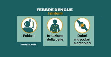 Febbre Dengue e malattie trasmesse dalle zanzare: i sintomi da non sottovalutare quando si torna da un viaggio