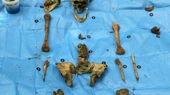 Giallo sui colli, ritrovate ossa umane: "Sono di un uomo di mezza età. Ed è morto da almeno tre anni"