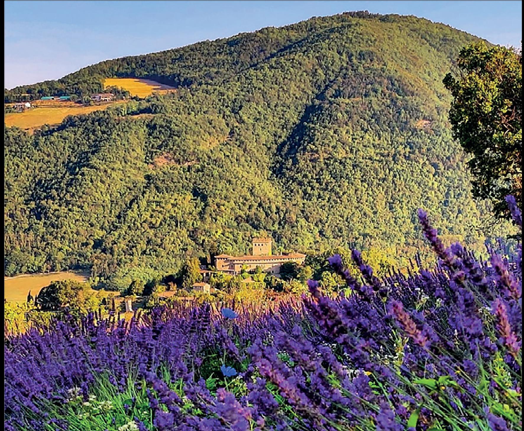 visit emilia punta sul turismo sostenibile valorizzazione dell appennino e dei percorsi fluviali