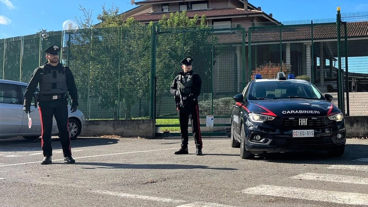I carabinieri di Molinella intensificano i controlli per la sicurezza stradale: 50 persone e veicoli controllati, denunciato un 64enne per guida con patente revocata e violazione di sigilli. Veicolo sequestrato.