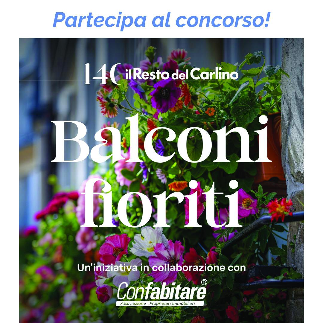 partecipa al concorso balconi fioriti fai vedere quanto 232 bella bologna
