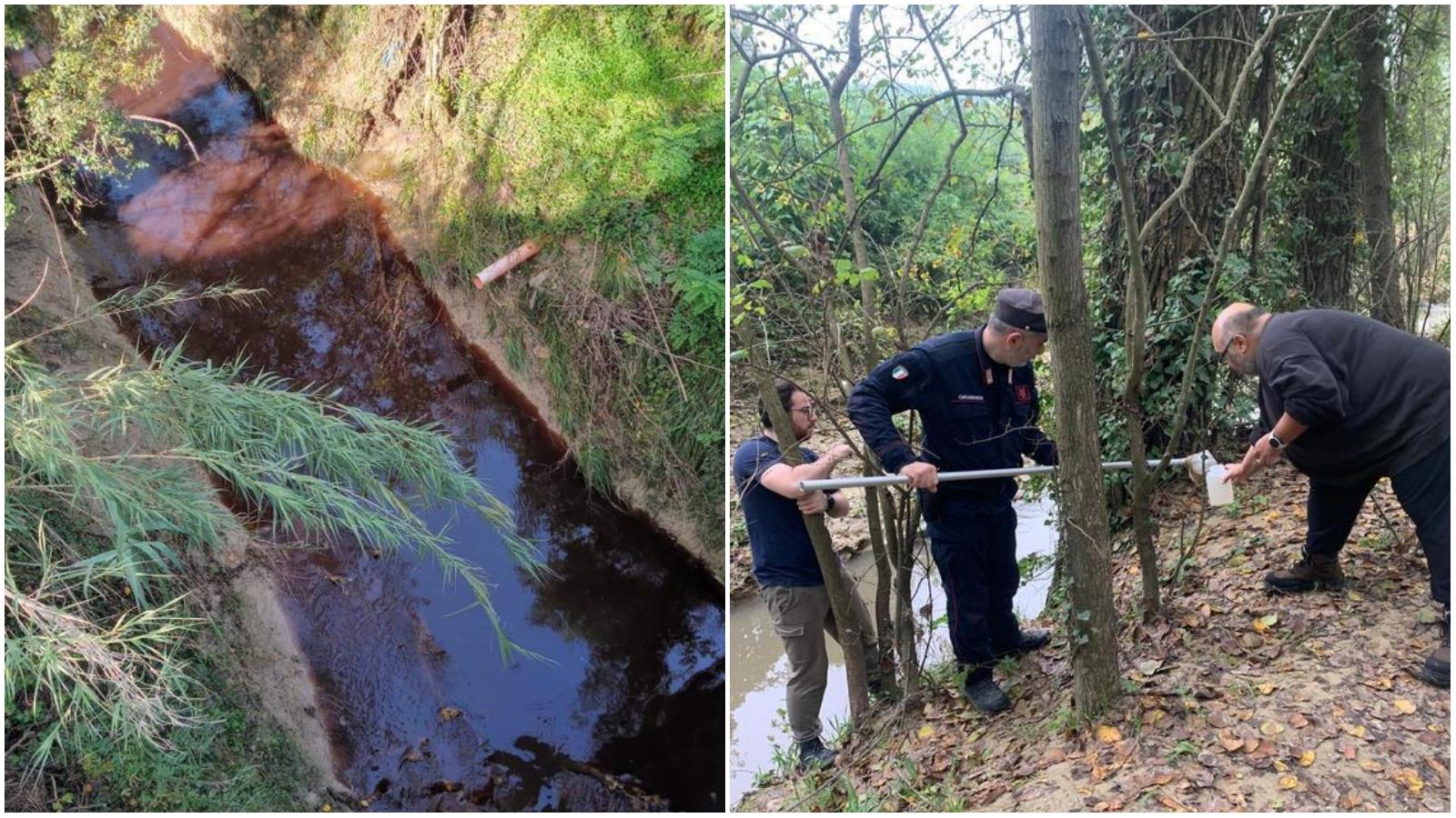Sversamenti nel torrente Arzilla, occhi puntati sui frantoi oleari Sversamenti nel torrente Arzilla, occhi puntati sui frantoi oleari