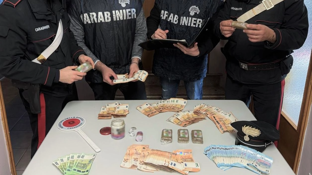 Operazione dei carabinieri di Medicina nell’ambito di un’indagine più ampia sul traffico di droga. Il giovane, incensurato, aveva in casa anche 13.100 euro in contanti nascosti nella camera da letto.