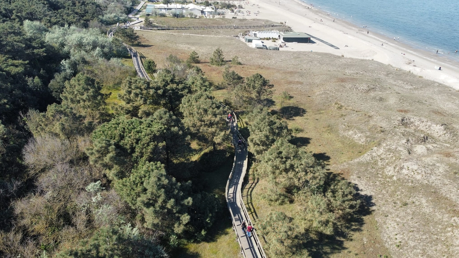 Una buona parte della "Parco Marittimo Walk & Run" si svolge all'interno della pineta, a due passi dal litorale