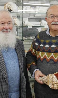 ‘mostra di malacologia a cupra
