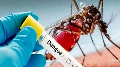 Emergenza Dengue: stato di pre allarme anche a Bologna