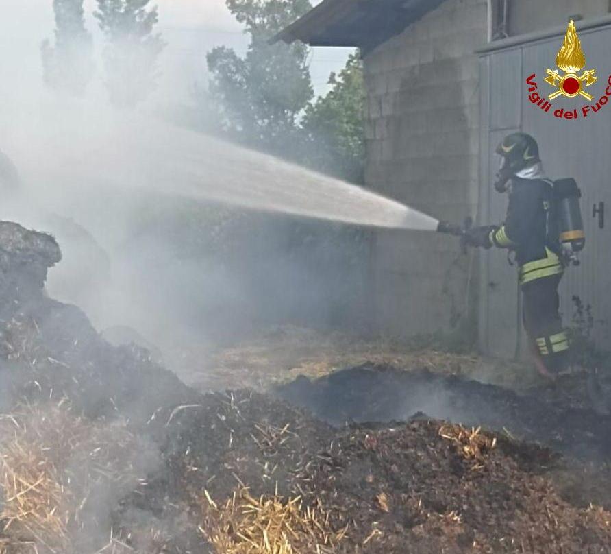 Fiamme in centro ippico a San Martino in Rio, paura per decine di cavalli Fiamme in centro ippico a San Martino in Rio, paura per decine di cavalli