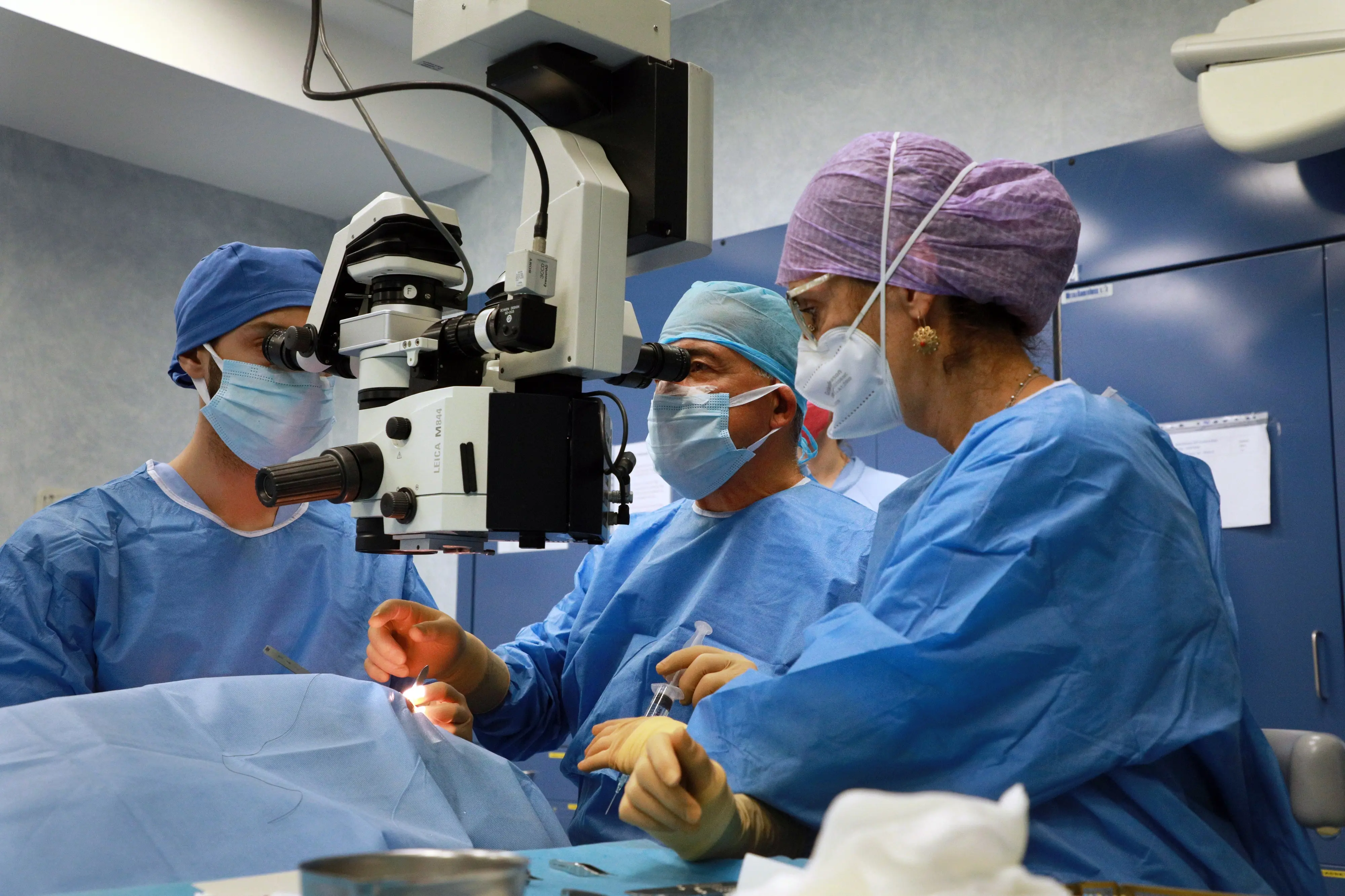 Tumori al pancreas e prevenzione: “Il 20% dei pazienti è curabile in fase precoce”