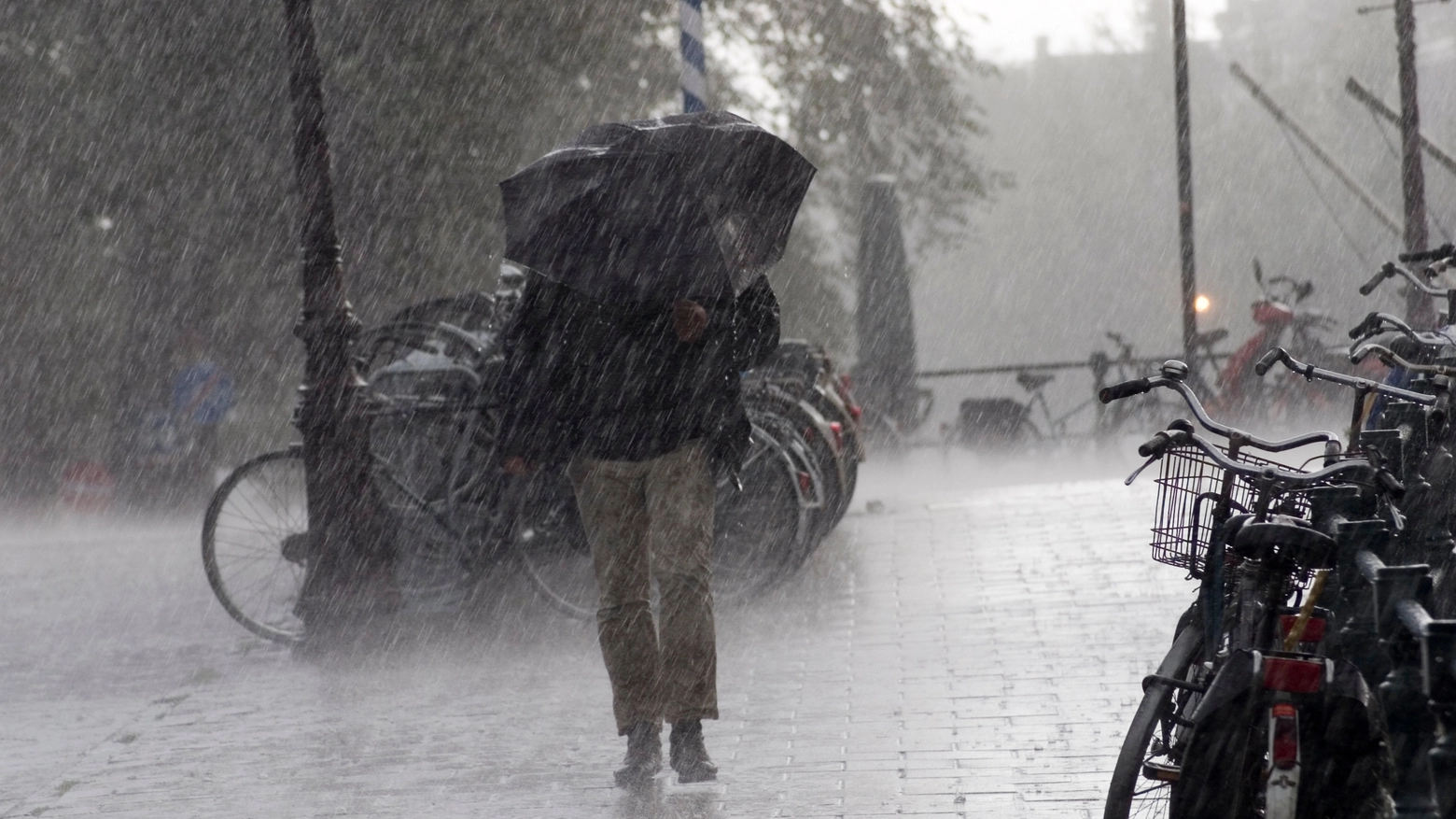 Si attendono precipitazioni intense sulle aree Appenniniche dell’Emilia Romagna. Criticità arancione e gialla per piene dei fiumi e per vento