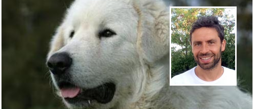 Morta azzannata dal cane, il sindaco: “Certi animali troppo pericolosi, vanno tolti”