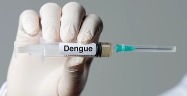 Vaccino Dengue a Bologna: dove trovarlo